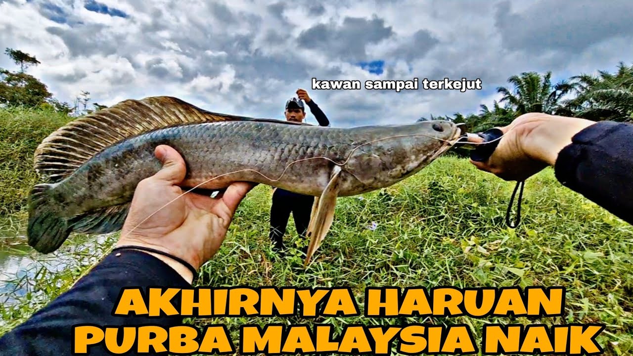 CASTING HARUAN || AKHIRNYA HARUAN PURBA MALAYSIA NAIK 