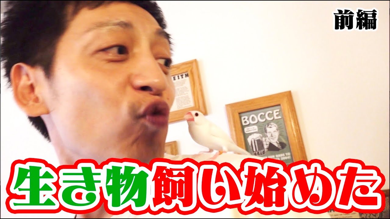 とろサーモン村田生き物飼い始めた