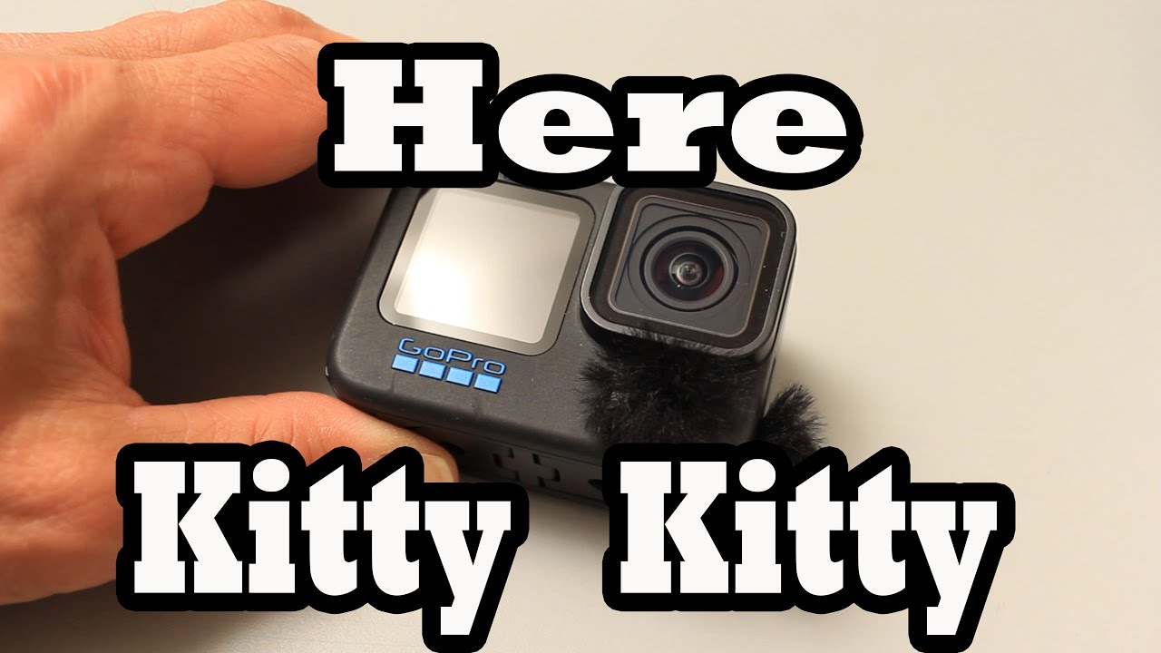 Dead Cats to Help GroPro Audio - A  Complete Wind Noise Reduction Comparison