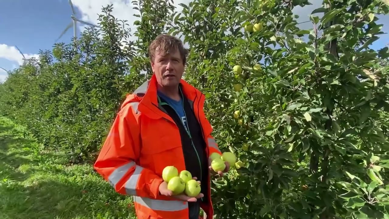 Hoe pluk je een appel?