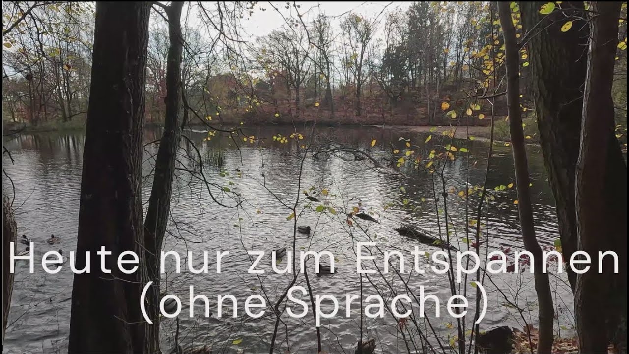Zum Entspannen (ohne Sprache,  5.11.2024) #entspannung