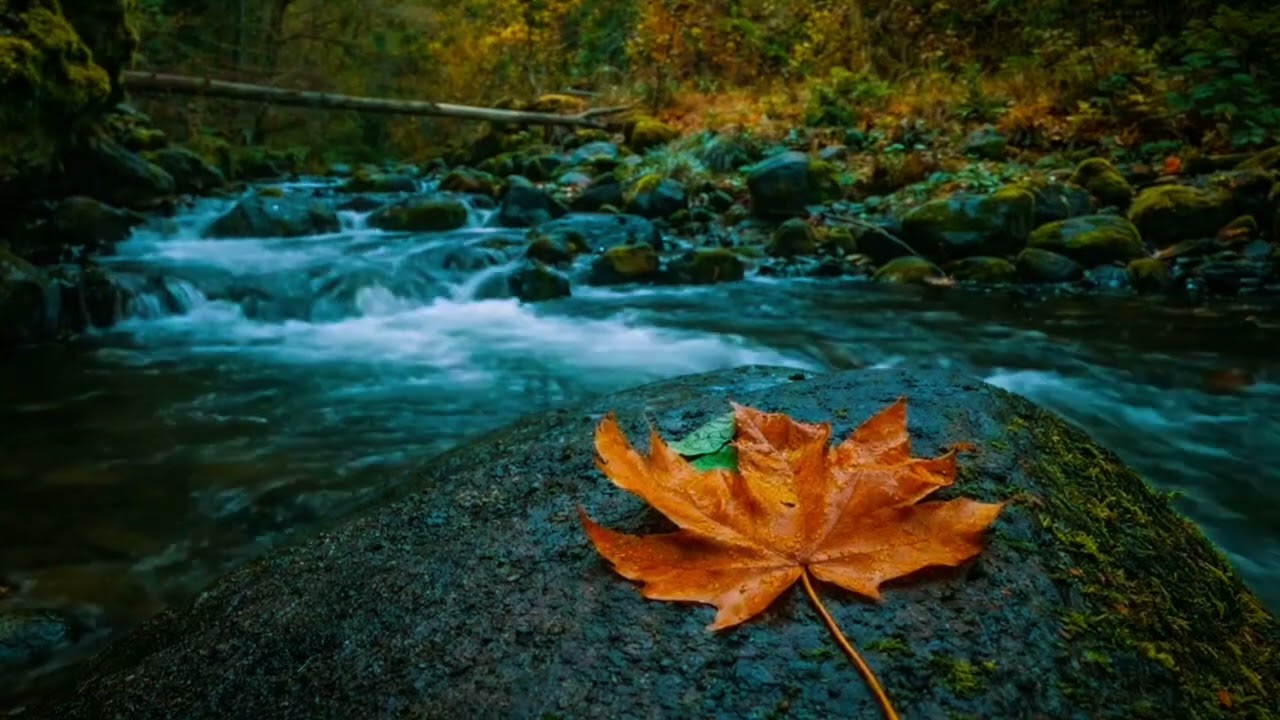 Relaxing River Sound for Deep Sleep 01