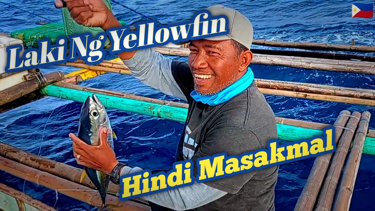Laki ng mga yellowfin tuna! Hindi Masakmal ang ulo!