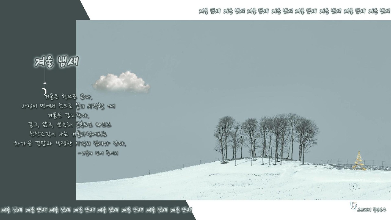 겨울 냄새....꿀 잠  자고 싶은 이들 /카공족/힐링하고 싶은 이들/명상(8시간)