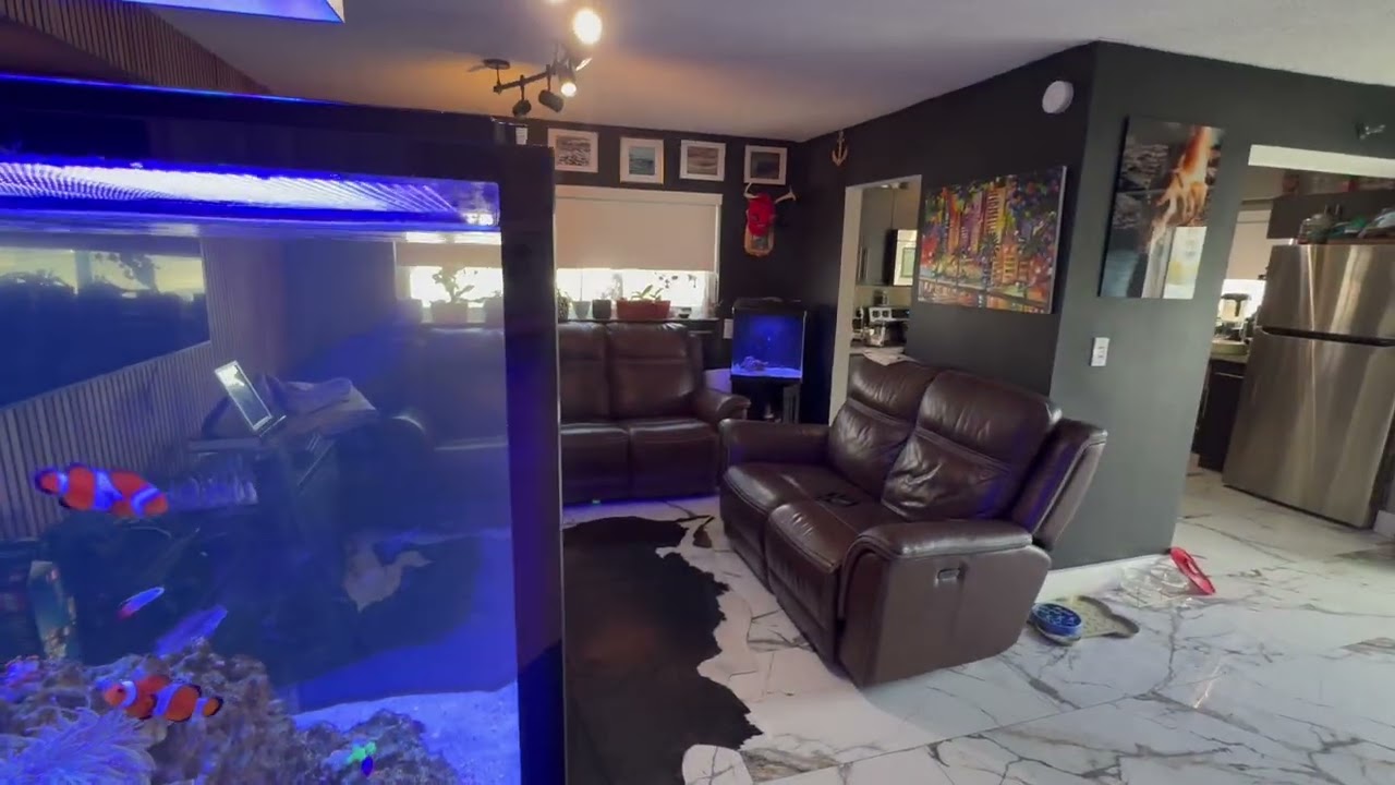 The Glow Up Is Starting… Red Sea Peninsula Reef Update