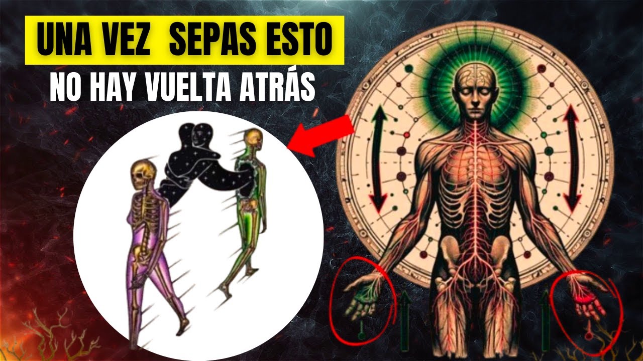EL PRINCIPIO DEL ESPEJO | SI NO CAMBIAS ESTO, LA REALIDAD NUNCA CAMBIARÁ