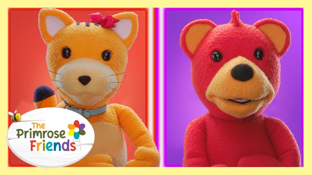 Alike & Different 🌈The Primrose Friends | Songs & Nursery Rhymes 🎶Kids Songs About Being Unique