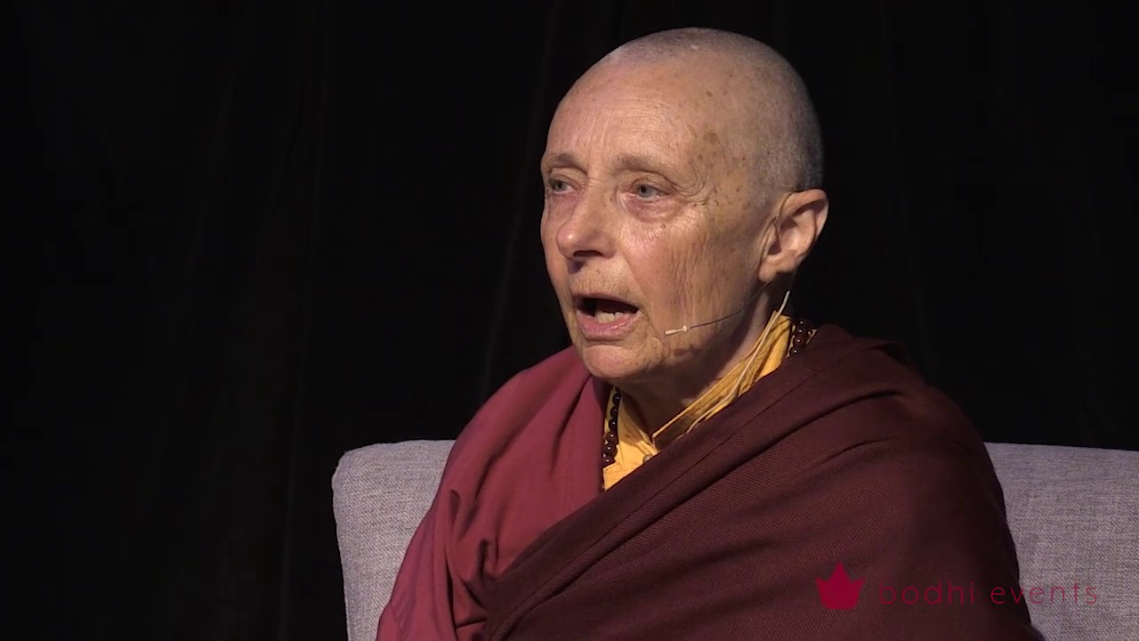 Tenzin Palmo Teaching, Wheel of Life, Samsara in the Raw 2 of 12