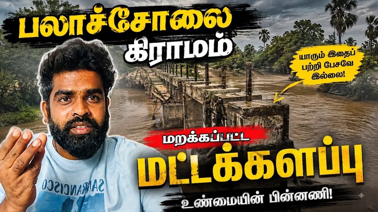மட்டக்களப்பு பலாச்சோலை | Pk vlogs Tamil | Batticaloa #pkvlogstamil #batticaloa #travel #2025 #vlog 