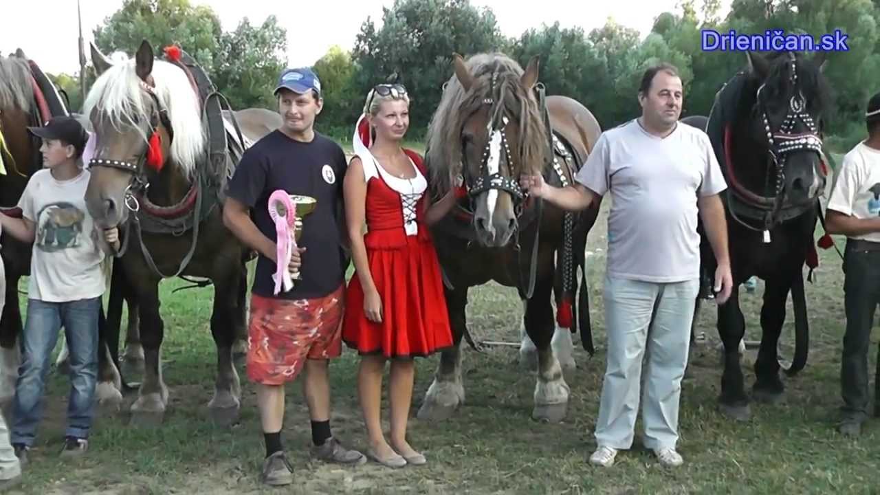 Furmanské preteky o „Zlatý Kantár