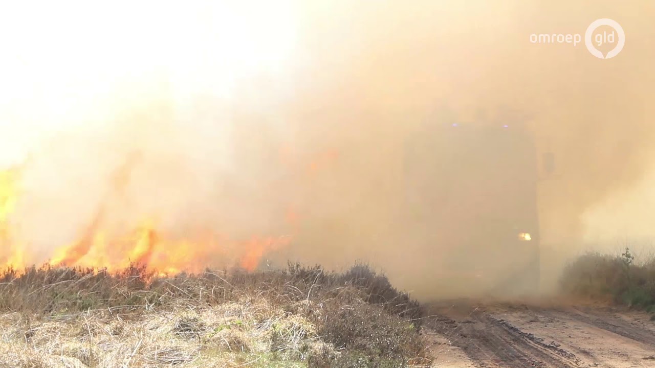 VIDEO: Brand op Ginkelse Heide geblust