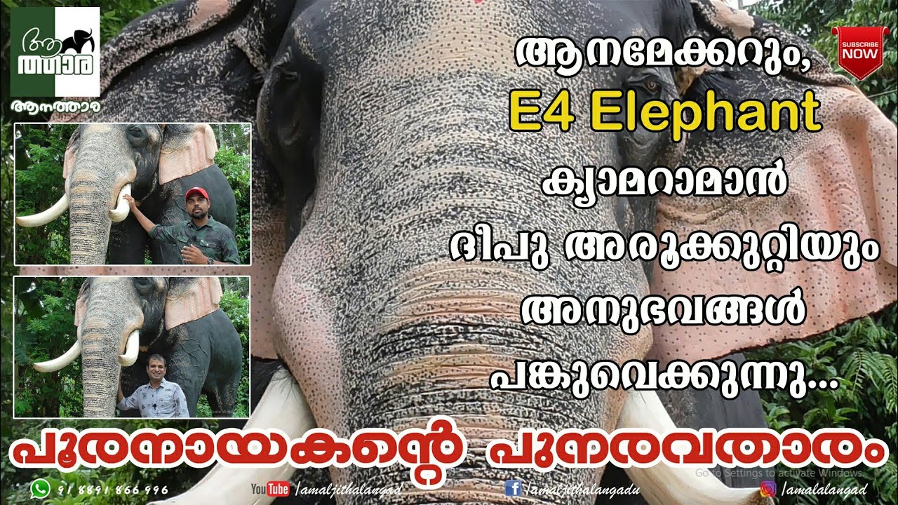 Sivasundhar Sculpture | Aanamaker | Kerala elephant Sculpture | aanatthaara |ആനത്താര