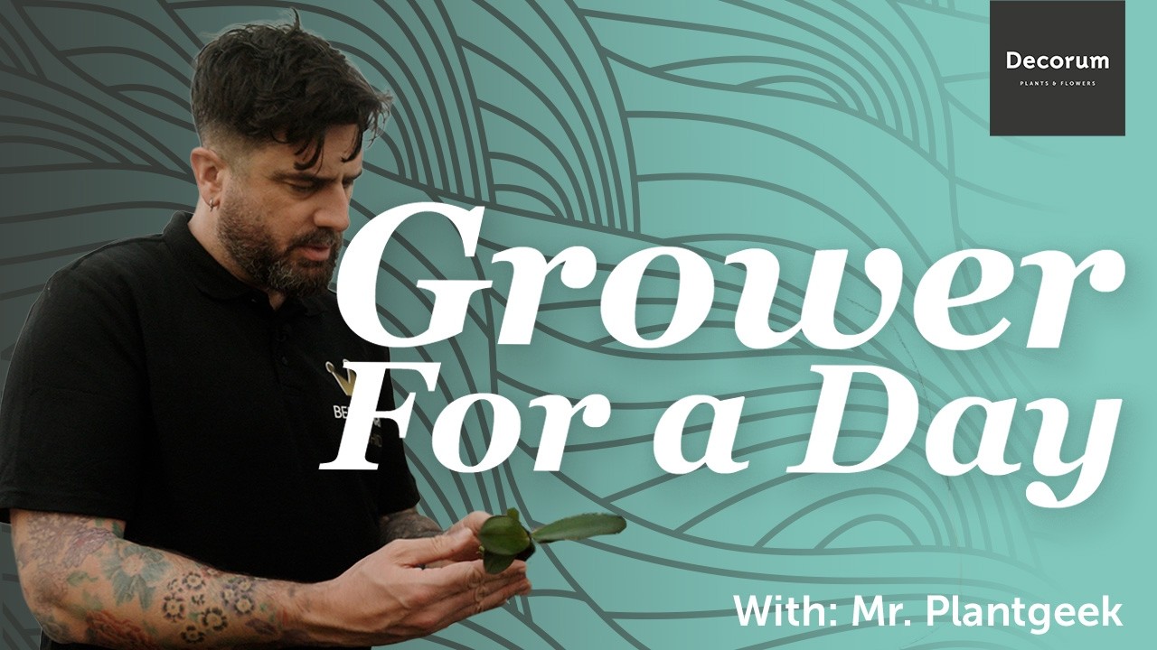 GROWER FOR A DAY - Episode 2  ( With: Mr. Plant Geek )