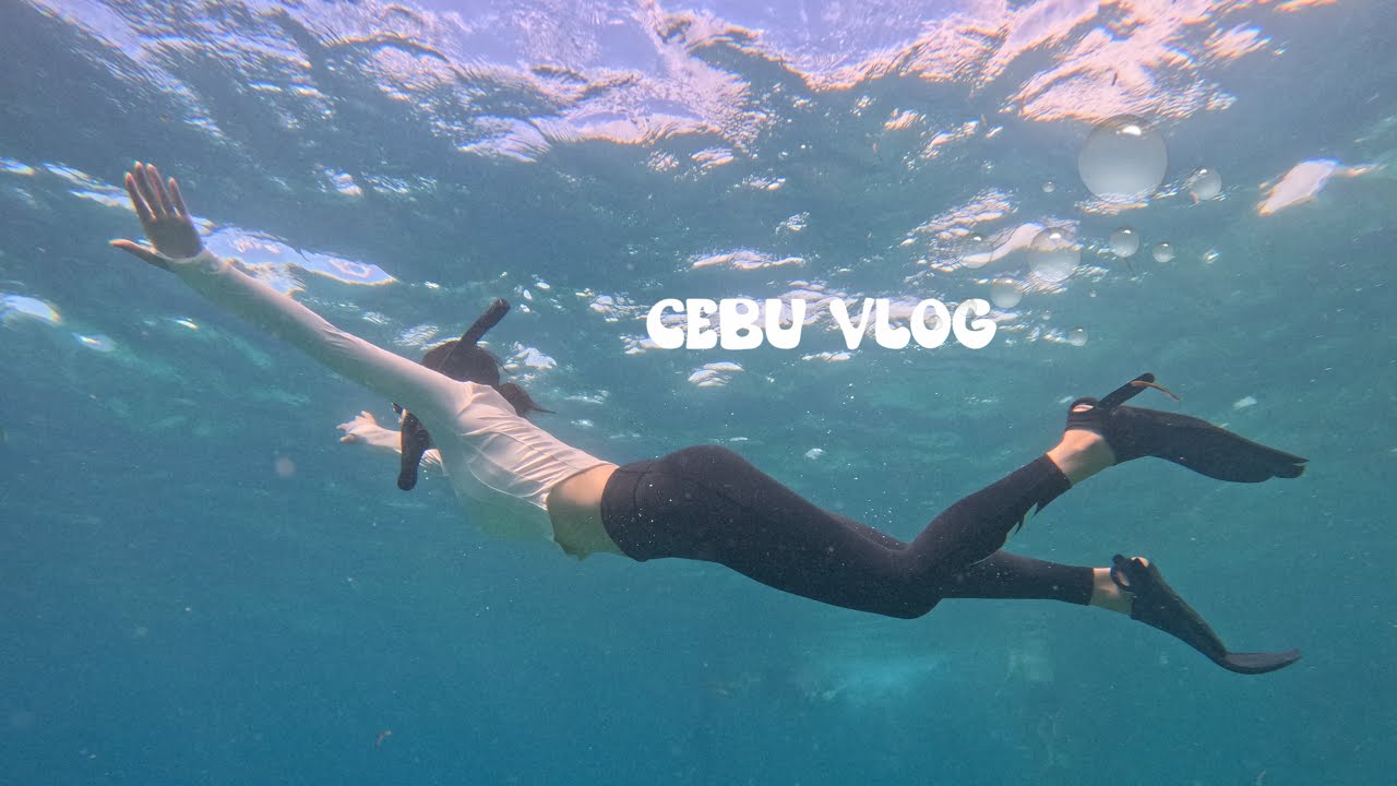 [VLOG] 2박 5일 세부 브이로그 1편🏝️ㅣ필리핀 여행 꿀팁ㅣ오슬롭 고래상어ㅣ캐녀닝ㅣP의 자유여행ㅣ아얄라몰ㅣ맛집 추천ㅣCebu Travel Vlog 🇵🇭