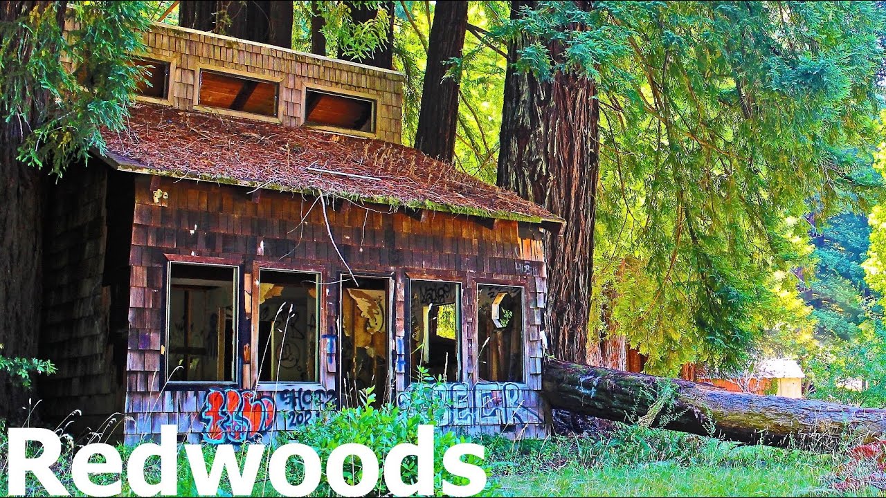 A Secret Unknown Town Hidden Away In The Redwoods... Avenue Of Giants...