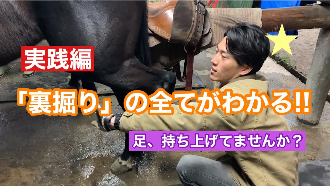313.裏掘りの全てがわかる！馬のお手入れ【実践編】