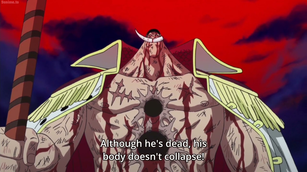 No Scar on the back &ndash; SHIROHIGE #onepiece #whitebeard
