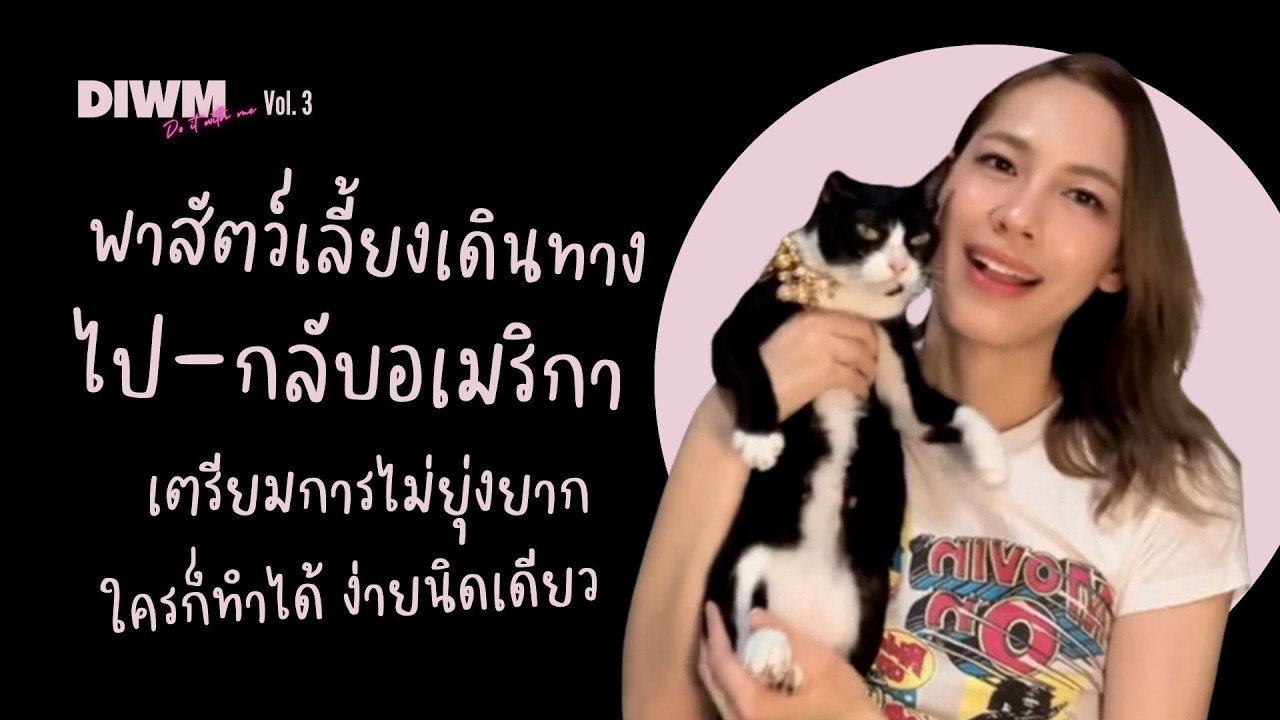 พาแมว #ข้ามโลก ไป-กลับ USA ทำเองทุกขั้นตอน พร้อมประสบการณ์บนเครื่อง | #DIWM [Do It With Me] Vol.3