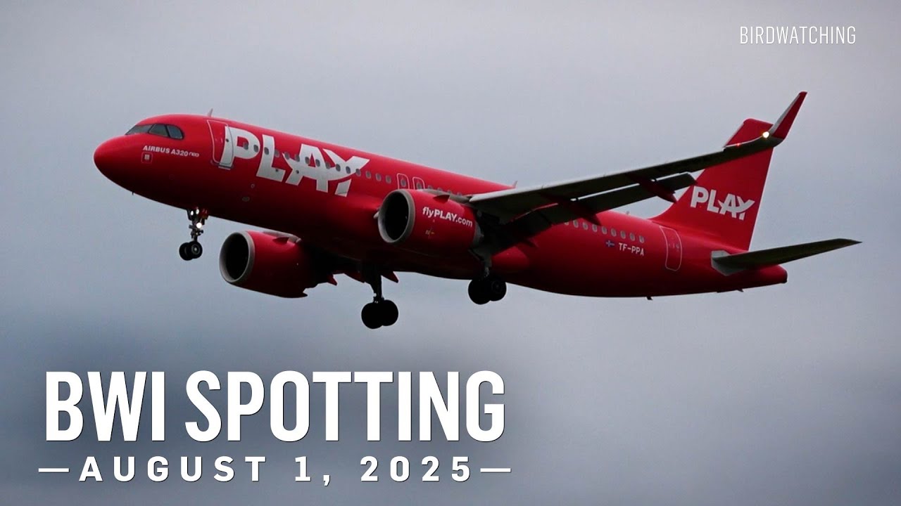 Plane Spotting at BWI Baltimore/Washington International Airport - August 1, 2025