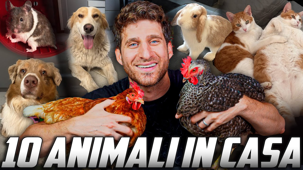 UNBOXING ANIMALI - Vi presento il mio zoo (10 animali in casa)