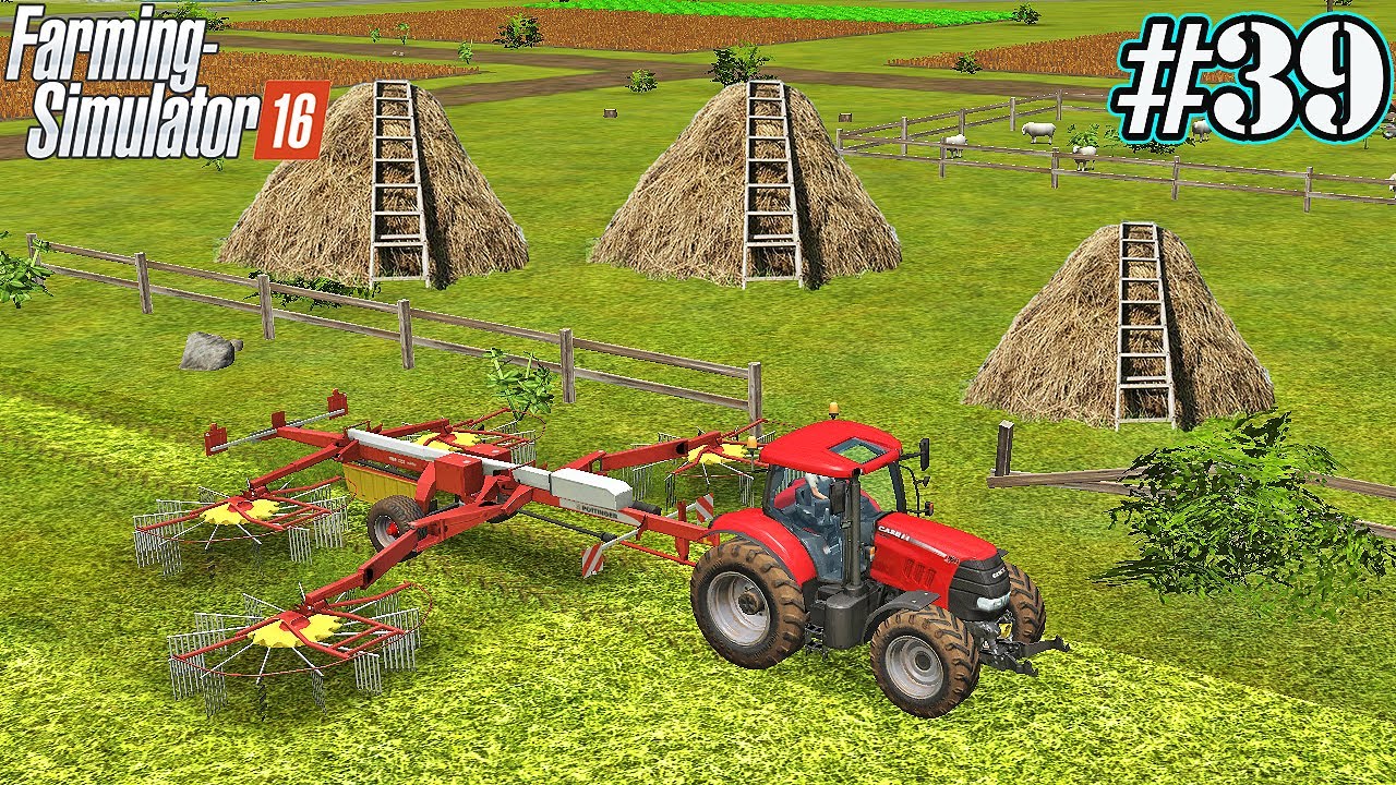 FS 16. Timelapse # 39. Grass and straw for animals. Wheat harvest.