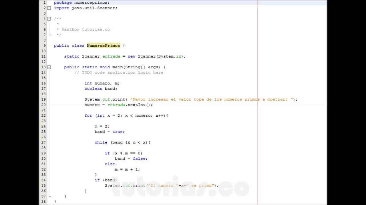 ciclo for -- java(numeros primos)