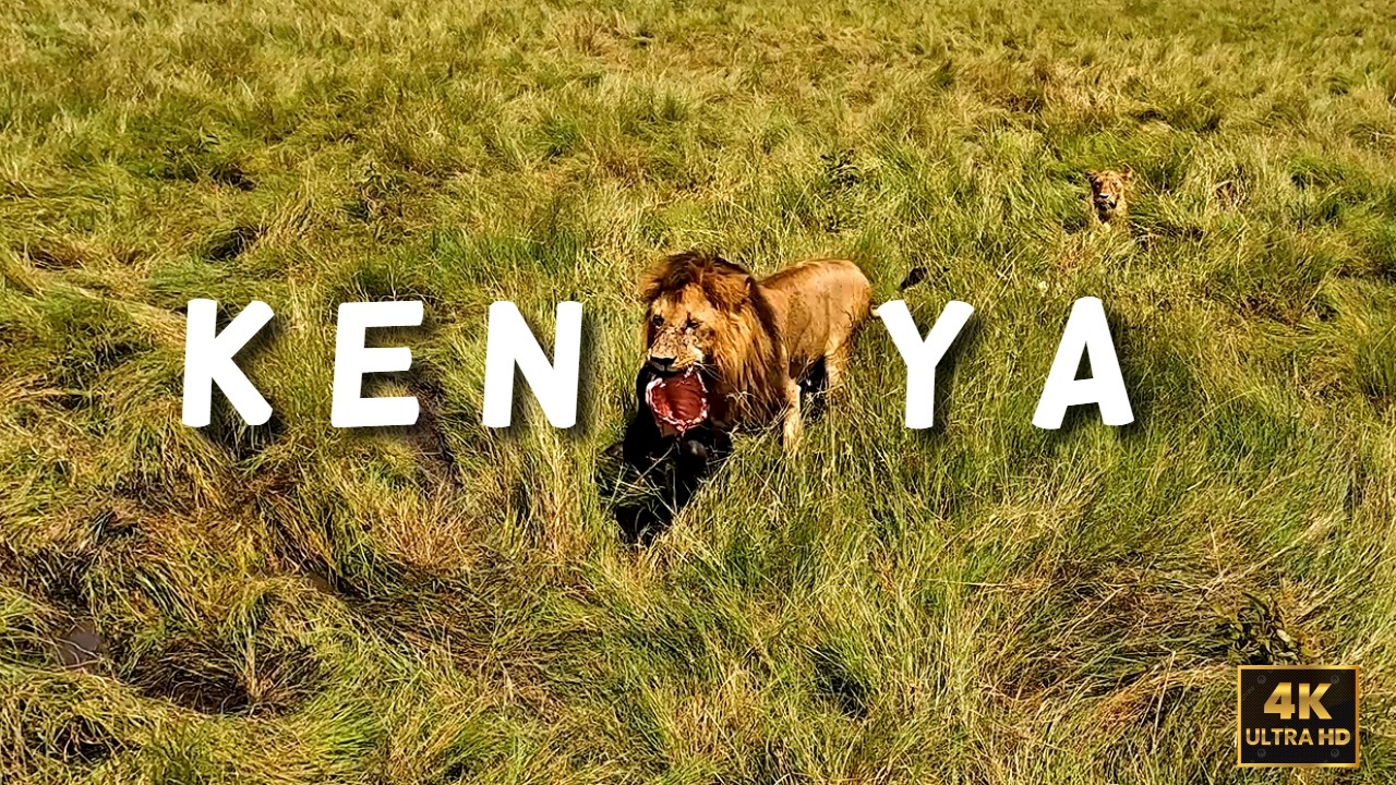 Maasai Mara & Nairobi | A Complete Guide | Kenya | Two Off To