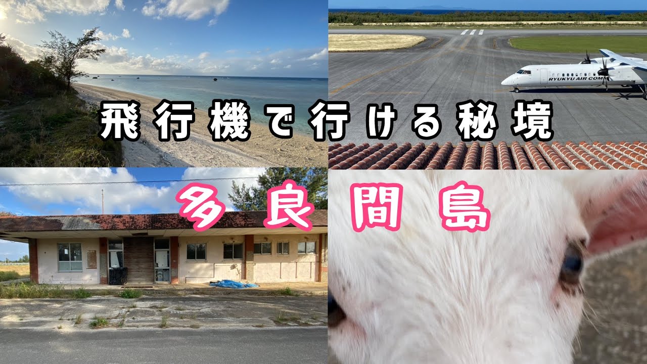 【沖縄】飛行機で行ける秘境、多良間島をご紹介