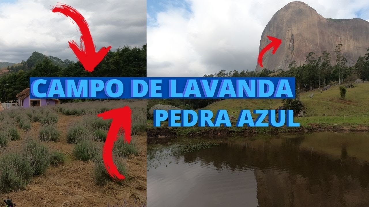 Campo de lavanda em Pedra Azul (Domingos Martins)