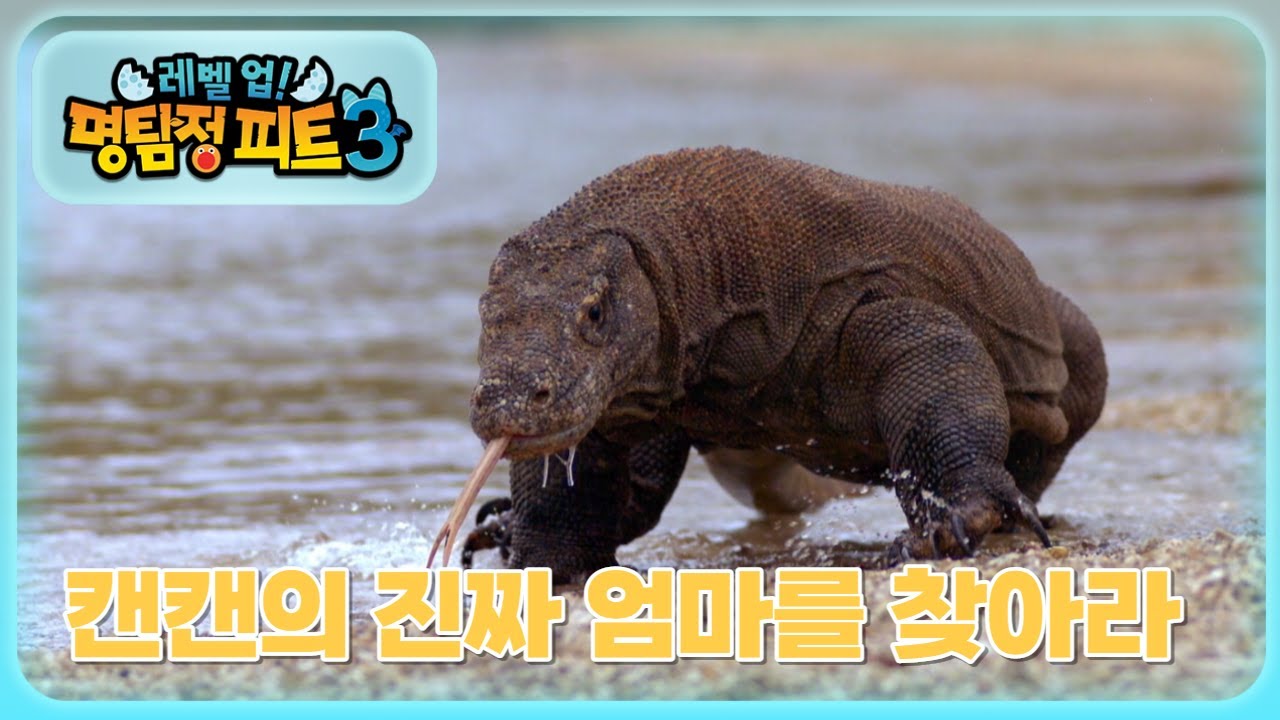 명탐정 피트 3 - 캔캔의 진짜 엄마를 찾아라