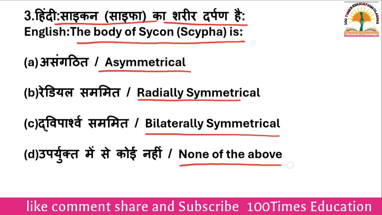 Phylum PORIFERA with MCQs CLASS 11 Ncert Biology #neet #ltgrade #biology #uppsc #upsc #NCERT #kvs
