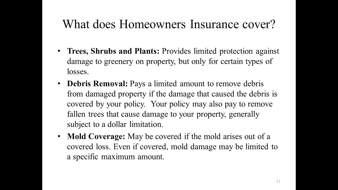 Why should you maintain Homeowners Insurance after paying off your mortgage?