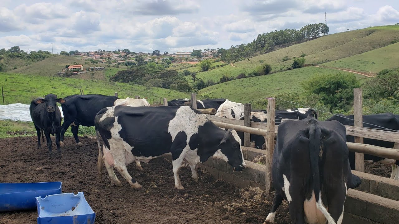 Mais um m&ecirc;s de queda no pre&ccedil;o do leite!!
