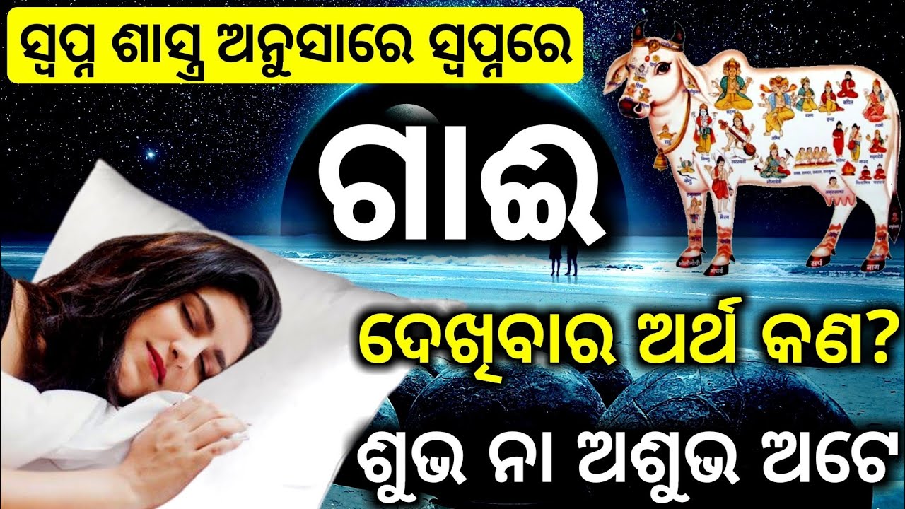 ଗାଈ ସ୍ୱପ୍ନ (Cow Dream) ଦେଖିବର ଅର୍ଥ | ଶୁଭ ଓ ଅଶୁଭ ସୂଚନା | Cow dream in odia | gai swapna ra artha |