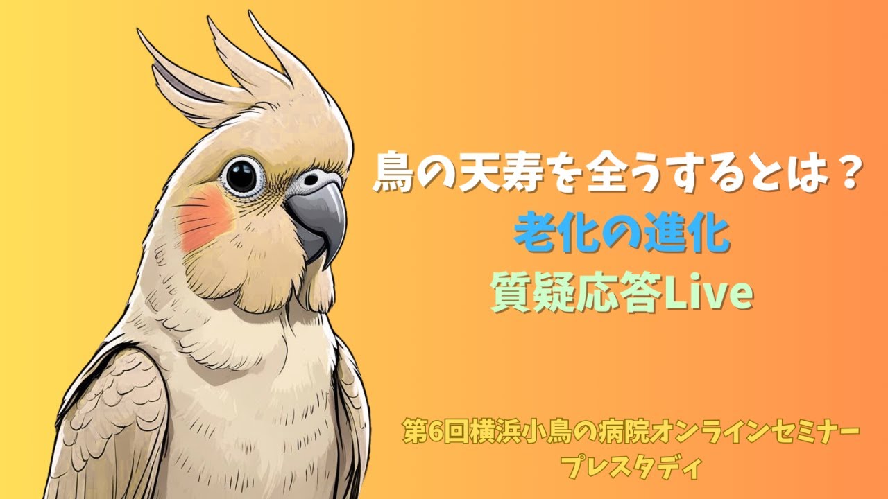 鳥の天寿を全うするとは？ ～老化の進化～【第6回横浜小鳥の病院オンラインセミナープレスタディ】