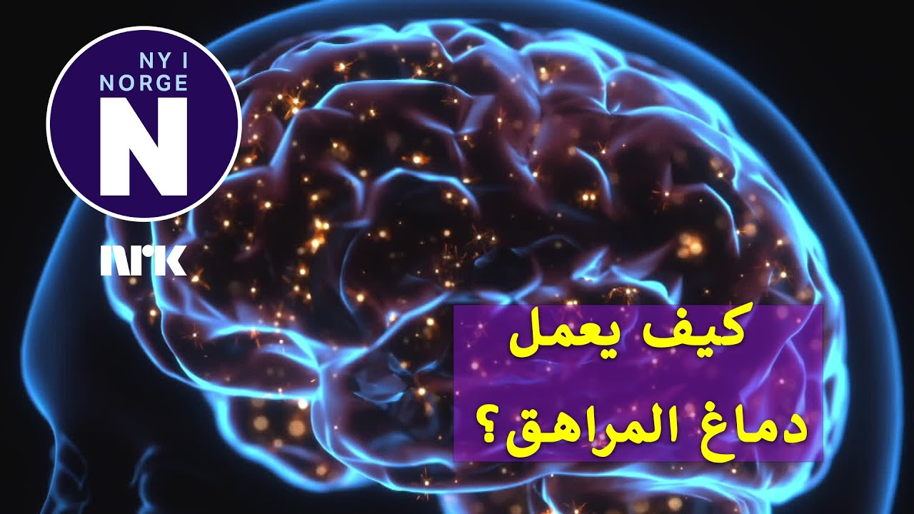 Hvordan utvikler ungdomshjernen seg? كيف يتطور دماغ المراهق