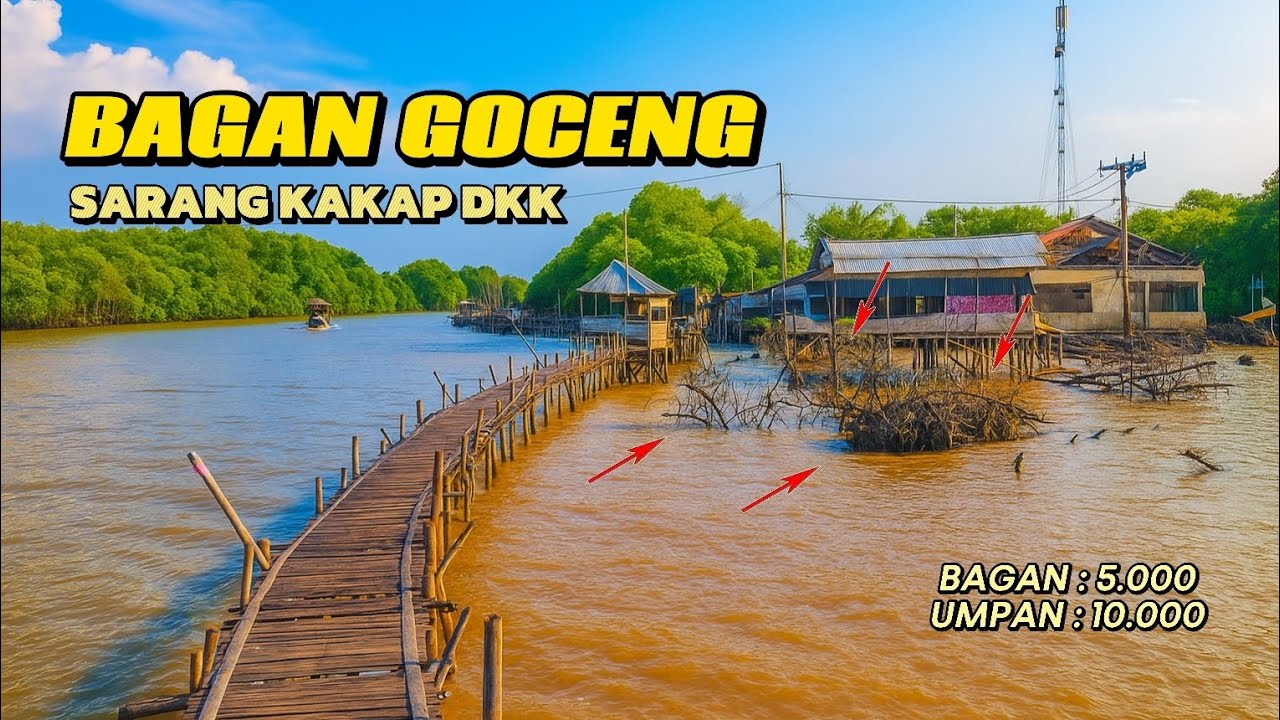 Murah meriah‼️ Mancing kakap putih di bagan pinggir muara, cuma 5.000 rupiah | bagan jembat kronjo