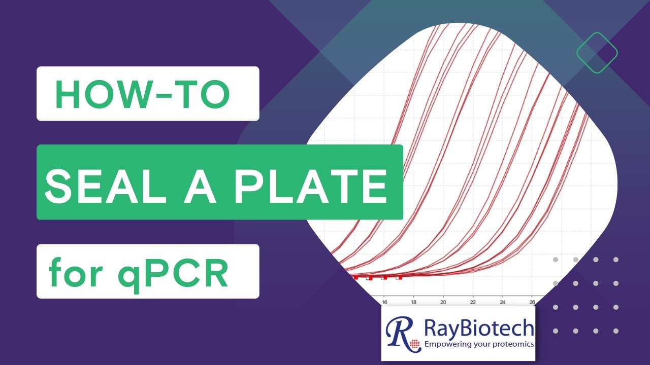 Sealing the plate [qPCR]