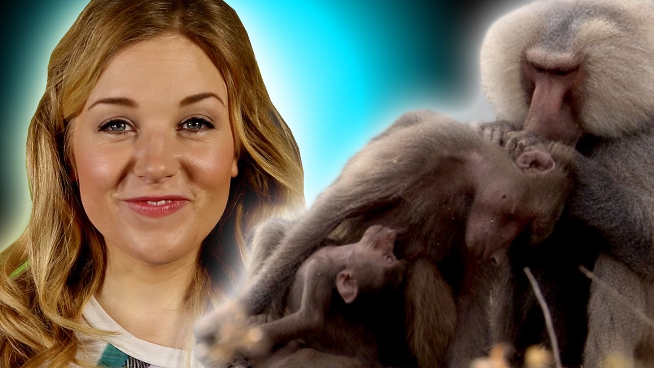 Can animals be nice? Altruism Debate | Zoo La La | The Travel Edit