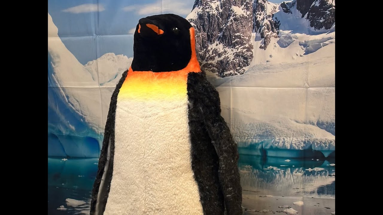 The Penguin Shuffle