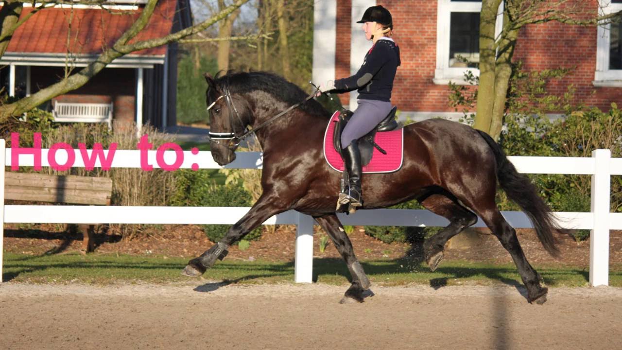 How to: Hinterhand trainieren
