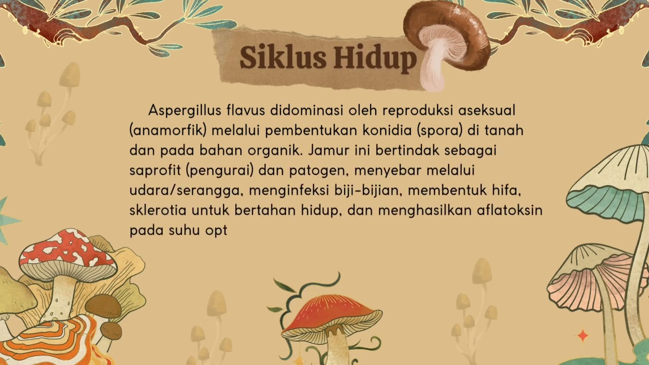 Mengenal Aspergillus Flavus: Jamur Penghasil Racun yang Berbahaya 