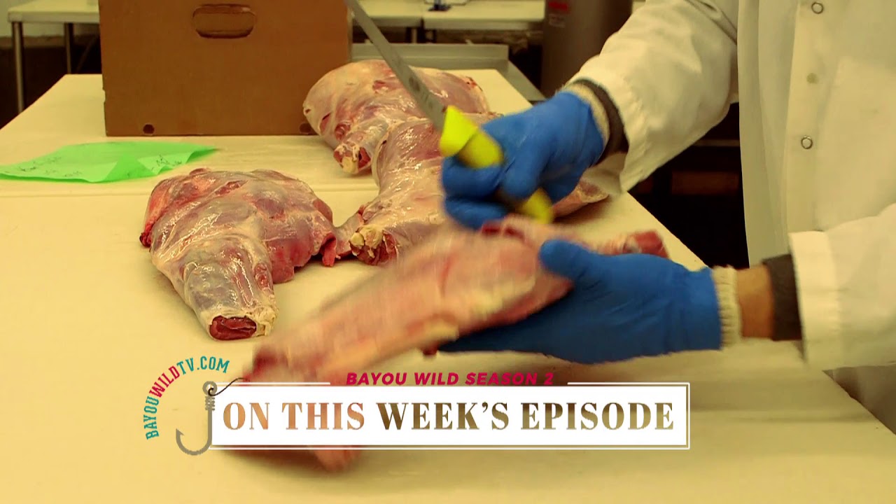 **Sneak Peek** Game processing at Double D Meat Company