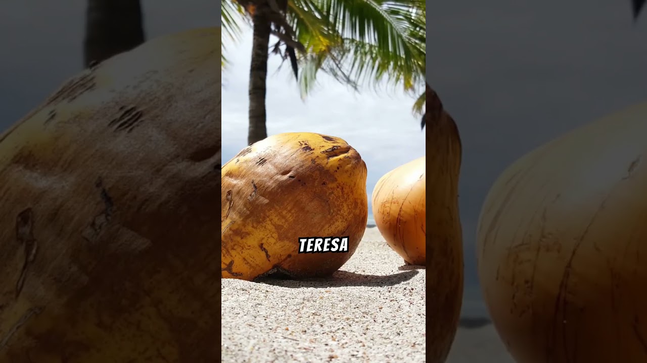 top 10 best beaches in costa rica (Travel Guide)