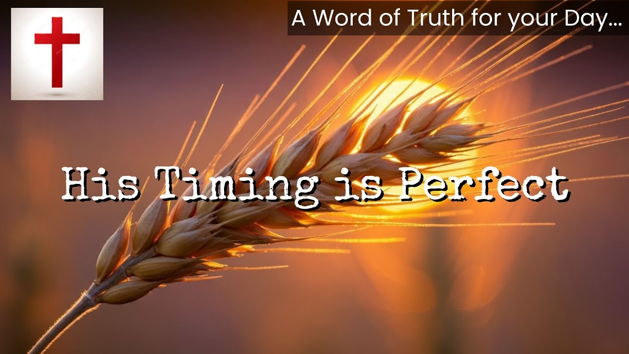 🎵 His Timing Is Perfect | Original Christian Song About 🙏TRUSTING GOD'S PLAN(Official Music Video)🎵🎵