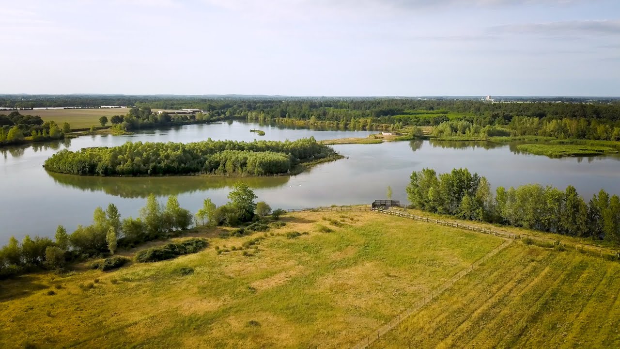 Espaces naturels sensibles en Loire-Anjou-Touraine : les gravières et bois des Monteaux