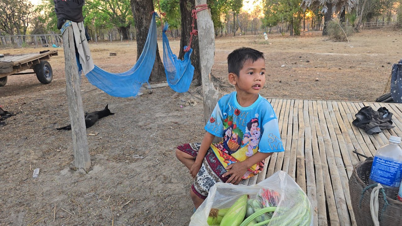 เก็บถั่วมะเขือข้าวโพดไปส่งให้มื้น้อย ขอบคุณคุณป้าทั้งฝั่งไทย