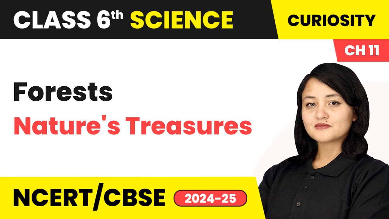 Forests - Nature's Treasures | Class 6 Science Chapter 11 | CBSE 2025-26
