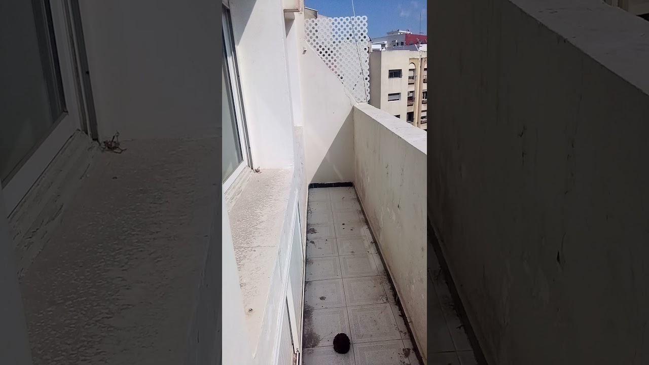 برطمة للكراء مدينة الدار البيضاء بلڤدير  التمن 5000 درهم رقم هاتف 0645919220