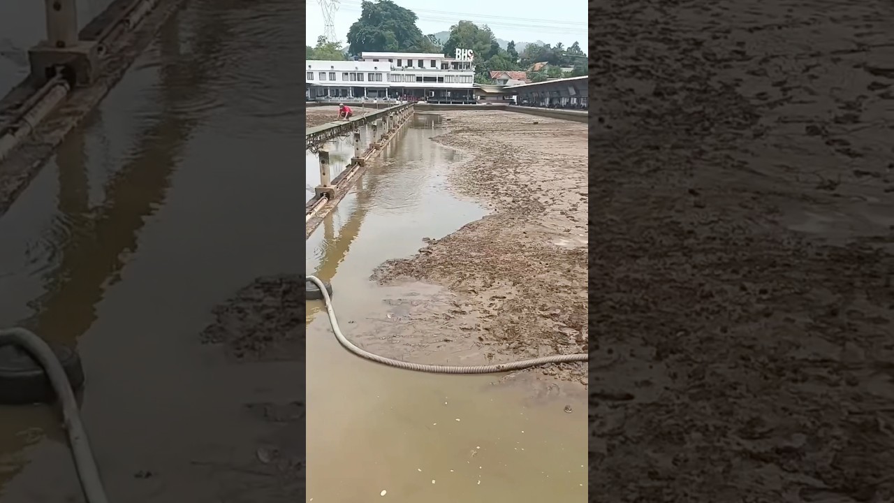 SEPERTI INILAH PENAMPAKAN KOLAM BHS SEKARANG! #mancing #kolam #galatamaikanmas  #mancingmania